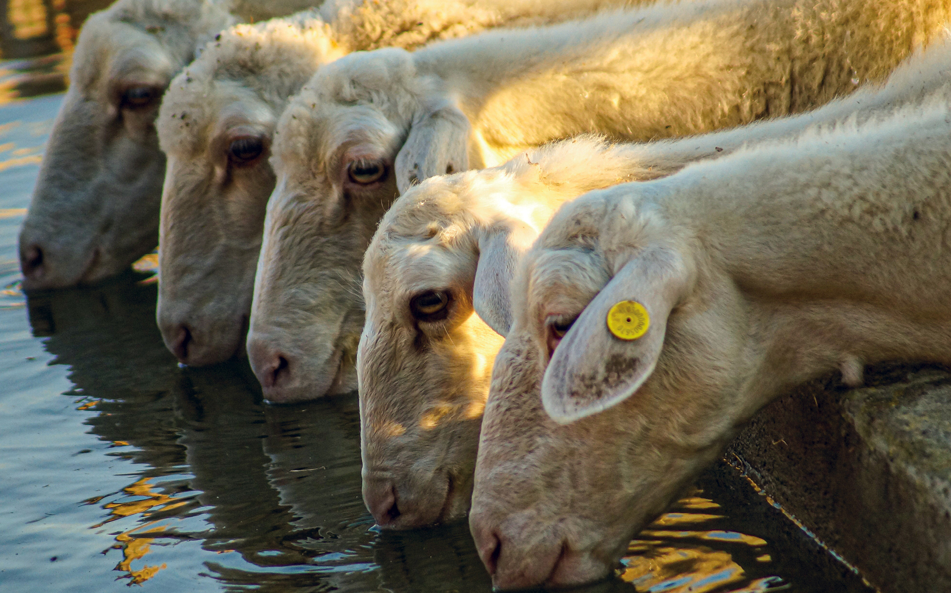 Kalender Calendrier / März Mars 2026