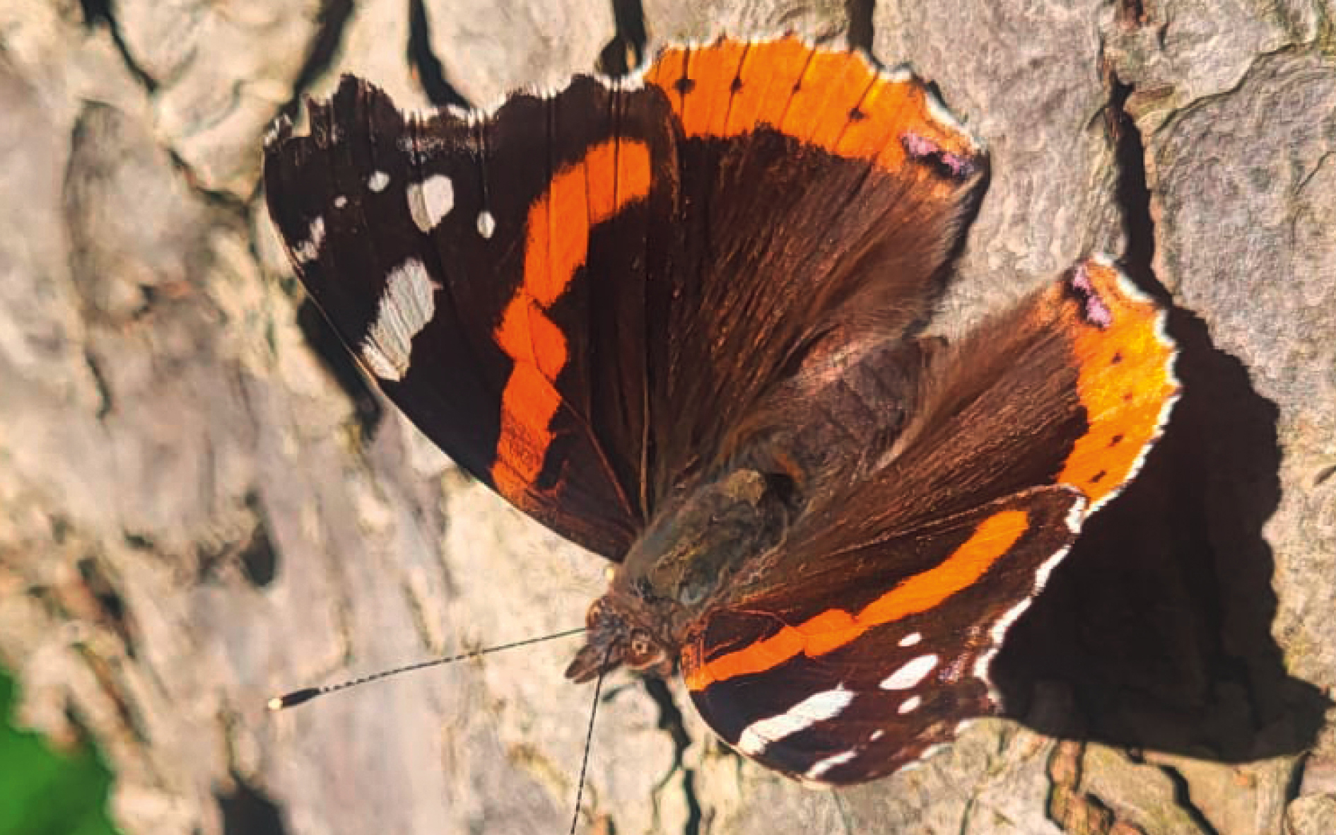 Kalender Calendrier / April Avril 2026